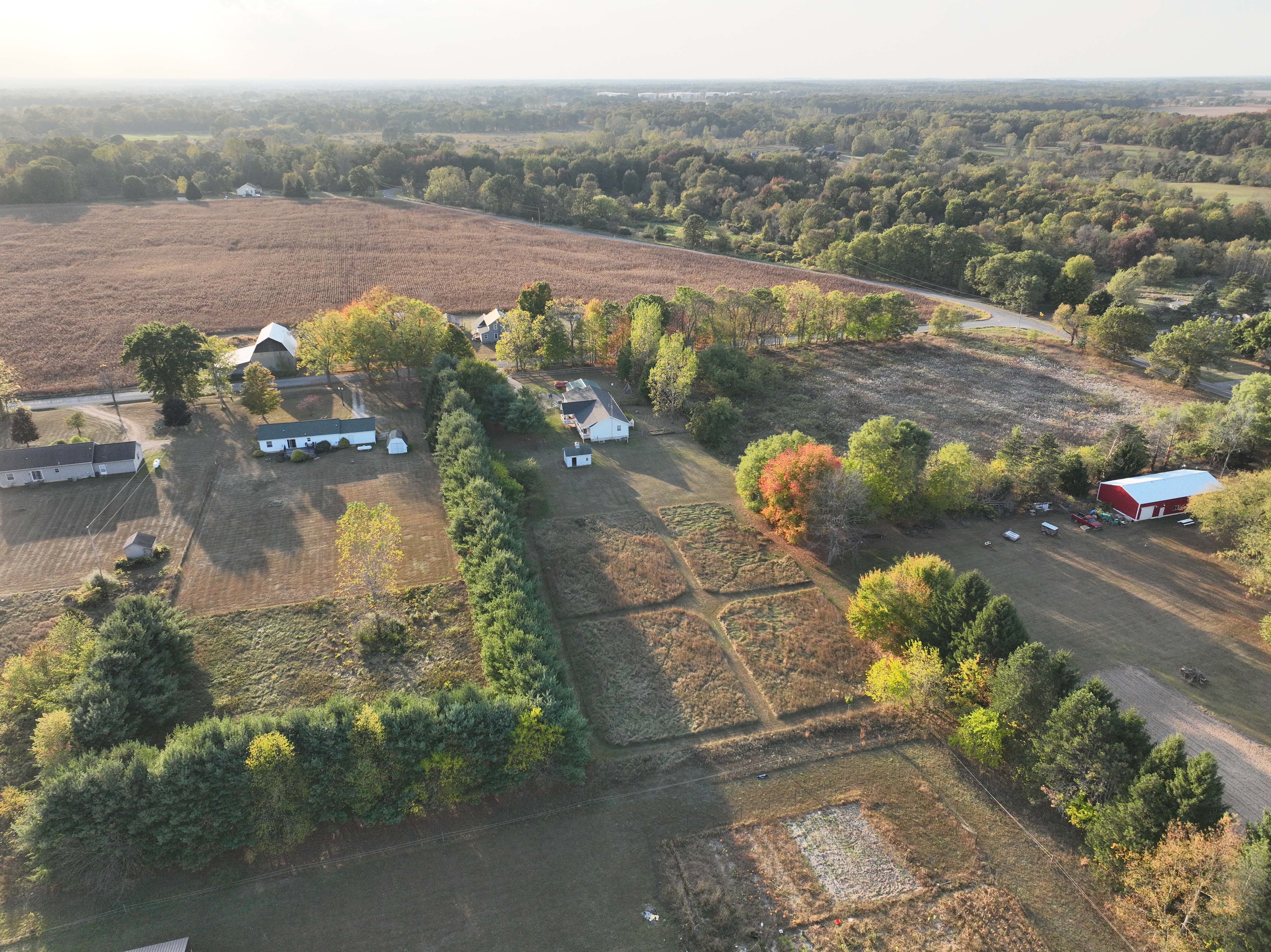 Aerial neighborhood